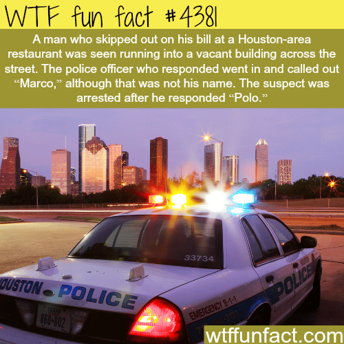 Funny police moments -   WTF fun facts