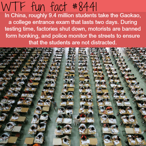 Gaokao - WTF fun facts