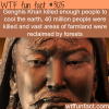 genghis khan killed this much people