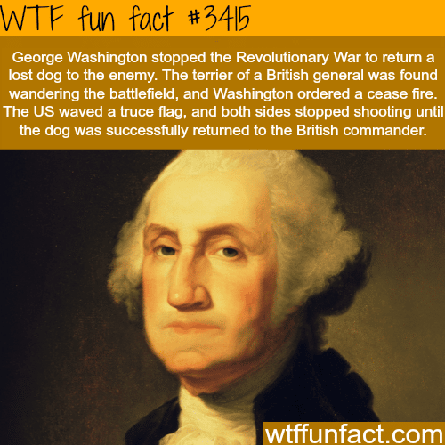 George Washington stopped a battle for a dog -  WTF fun facts