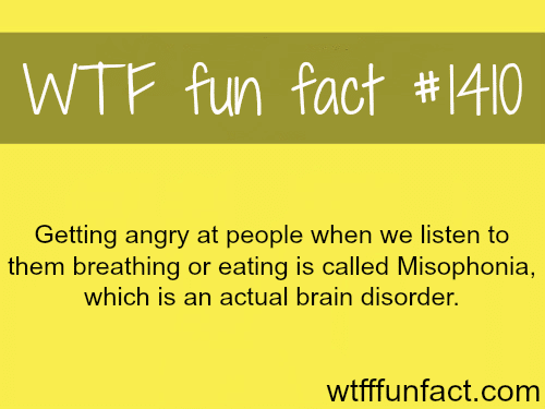 WTF FUN FACTS HOME / SEE MORE tagged/  Health FACTS