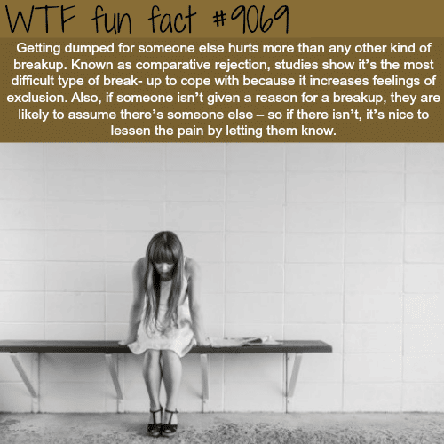 Getting dumped - WTF fun facts