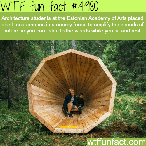 Giant megaphones that amplify the sounds of forest - WTF fun facts