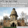 giant pineapple castle wtf fun facts