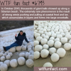 giant snowballs along a siberian beach wtf fun