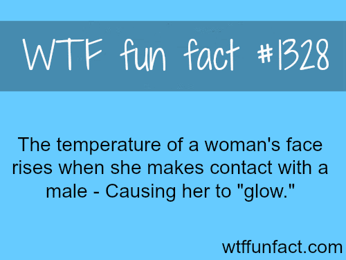 MORE OF WTF FACTS are coming HERE