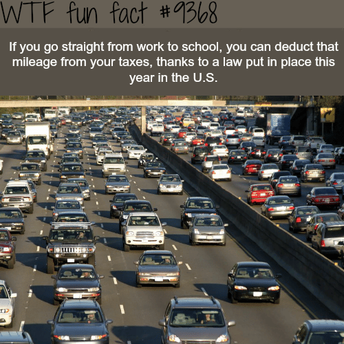 Going to school from work - WTF fun facts