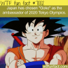 goko to be ambassador of 2020 tokyo olympics wtf