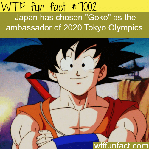 Goko to be ambassador of 2020 Tokyo Olympics - WTF fun facts