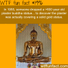 goldent buddha statue