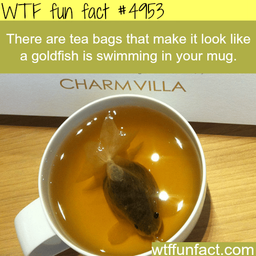 Goldfish tea bags - WTF fun facts