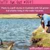 golf course in australia with sharks wtf fun