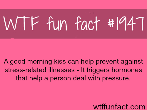 Good morning kiss - WTF fun facts