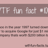 google net worth