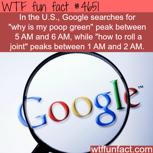 Google searches - WTF fun facts