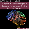 googles artificial intelligence wtf fun facts