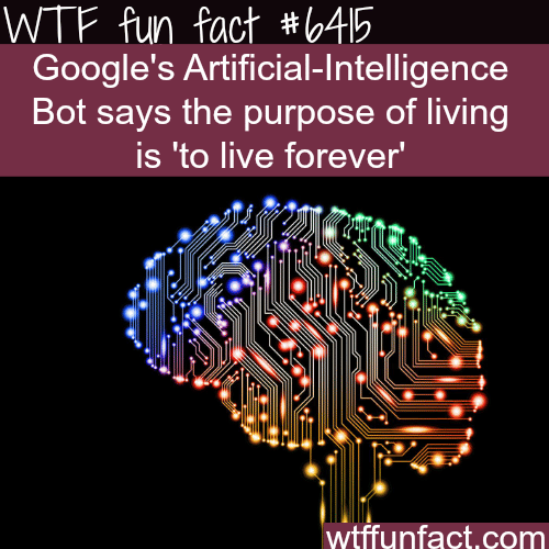 Google’s Artificial-Intelligence - WTF fun facts