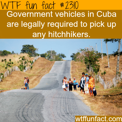 Government vehicles in Cuba - WTF fun facts