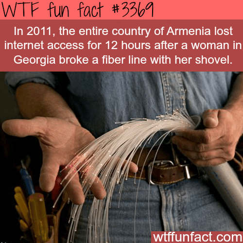 Grandma cuts the internet on a whole country -  WTF fun facts