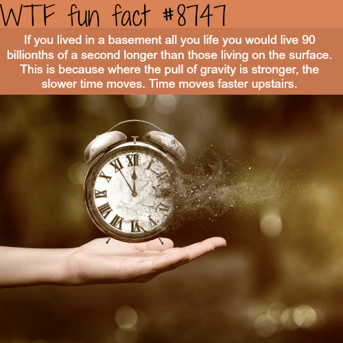 Gravity and time - WTF fun facts