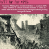 great whiskey fire wtf fun facts