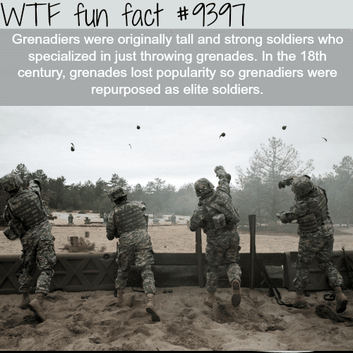 Grenadiers - WTF fun facts