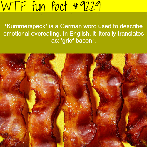 Grief Bacon - WTF Fun Fact