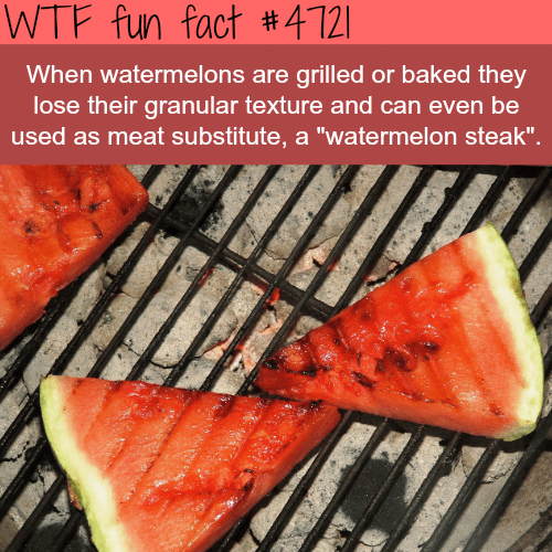 Grilled Watermelons - WTF fun facts