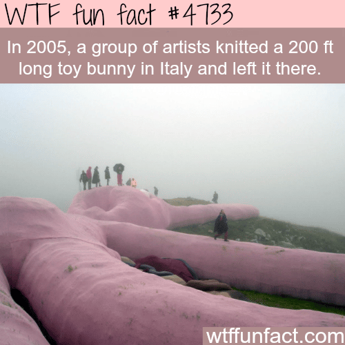 Group of artists create a giant 200 ft bunny in Italy - WTF fun facts