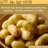 growing food in space wtf fun facts