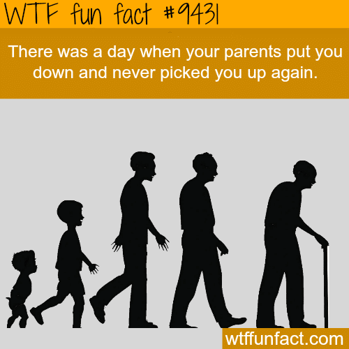 Growing up - WTF fun fact