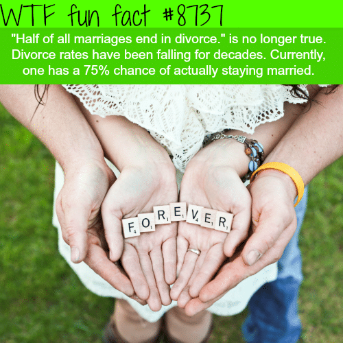 Half of all marriages end in divorce - WTF fun facts