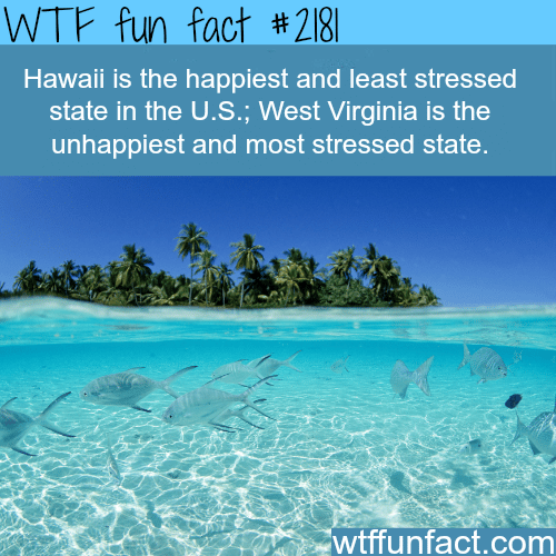 Happiest and least stressed state in the U.S. - WTF fun facts