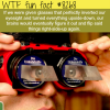 happy christmas wtf fun facts