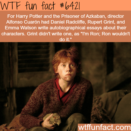 Harry Potter and the Prisoner - WTF fun facts