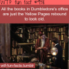 harry potter movies facts