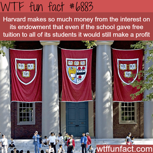 Harvard can give free tuition to every student and still make profit - WTF fun facts