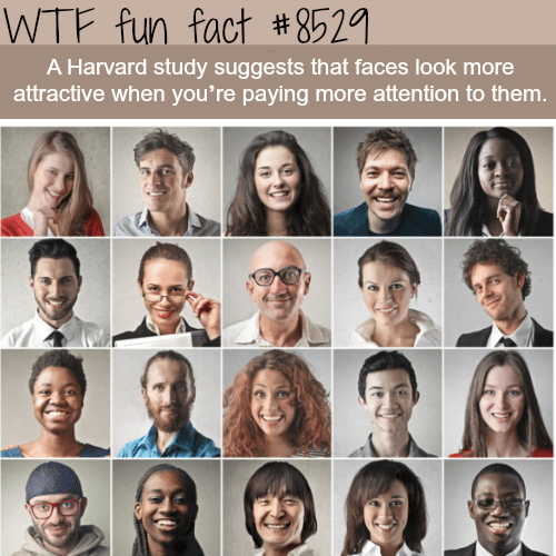 Harvard study says faces look better when we pay attention to them - WTF fun facts