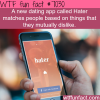 hater dating app wtf fun facts