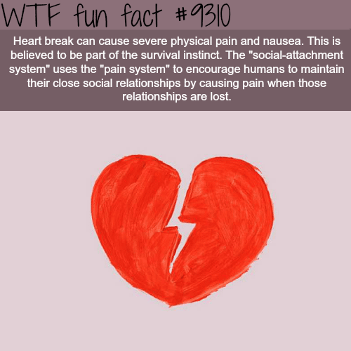 Heart Break - WTF Fun Fact