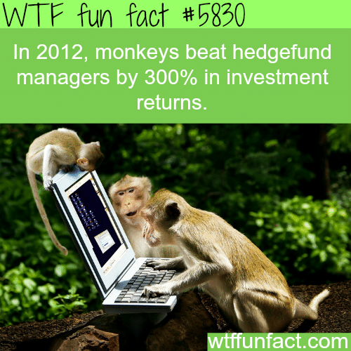 Hedgefund managers vs monkeys - WTF fun facts