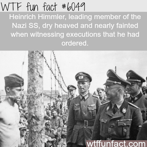 Heinrich Himmler - WTF fun facts