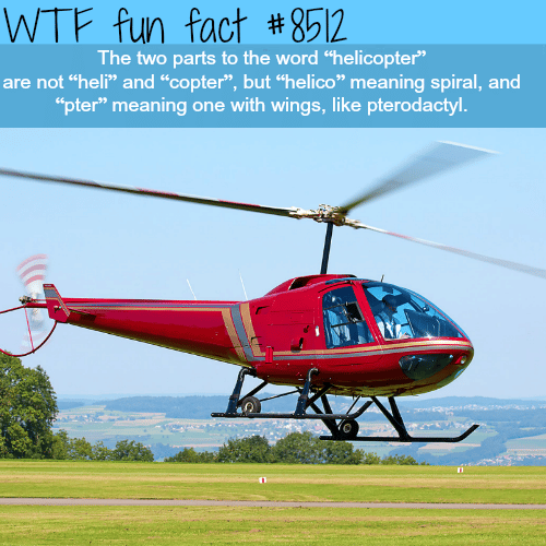 Helicopter meaning - WTF fun facts
