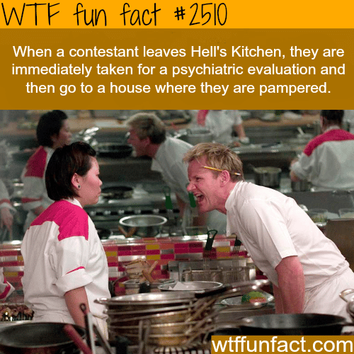 Hell’s Kitchen Contestants - WTF fun facts