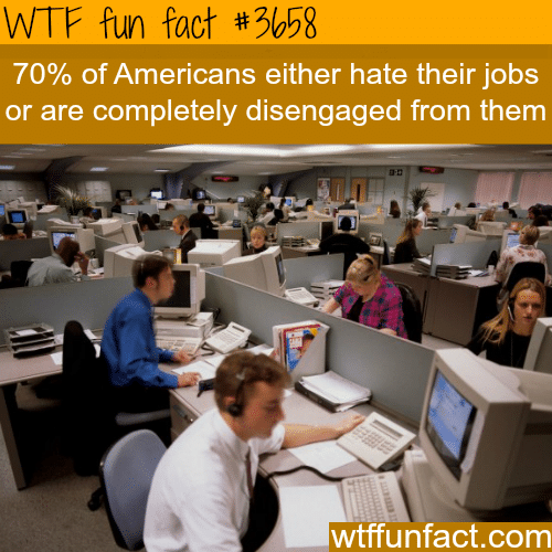 High percentage of Americans hate their jobs -  WTF fun facts
