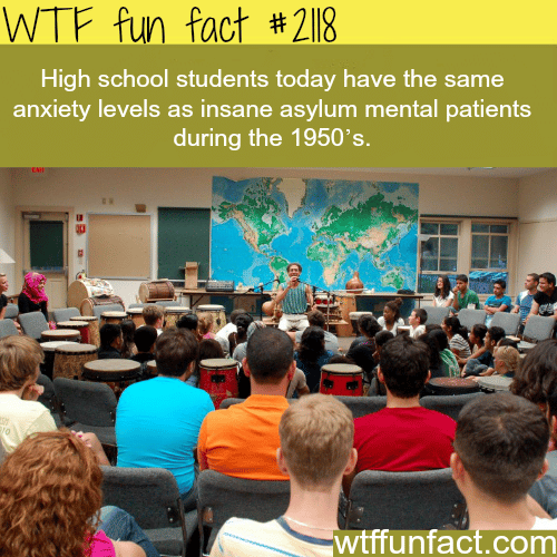 High School Student anxiety level - WTF fun facts
