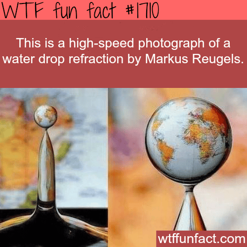 High-speed photograph of water drop - WTF fun facts