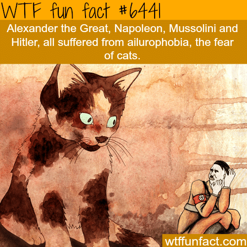 Hitler had a fear of cats - WTF fun facts
