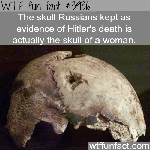 Hitler’s skull - WTF fun facts  