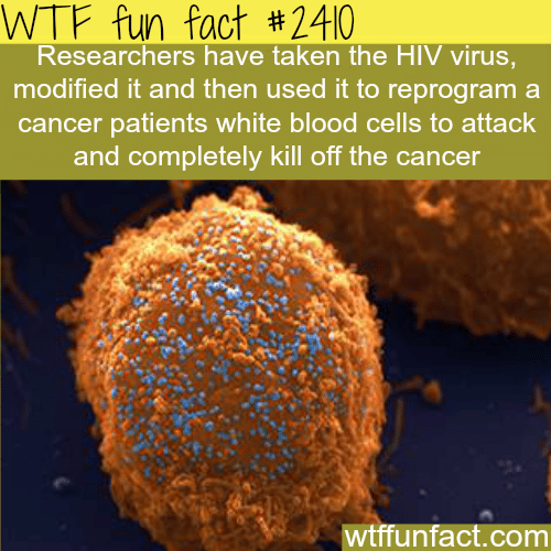 HIV Virus modified to kill a cancer cell - WTF fun facts